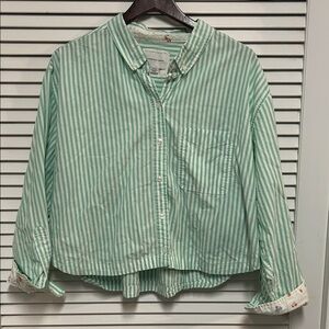 American Eagle Outfitters Mint Striped Cropped boxy shirt